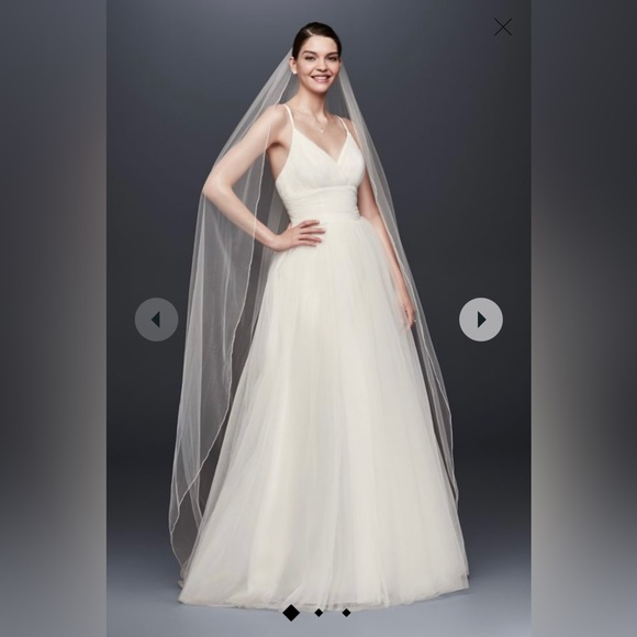 Chapel length Veil - Picture 3 of 5